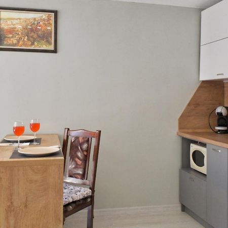 Cozy Studio Near The Park With Huge Verandah. 大特尔诺沃 外观 照片