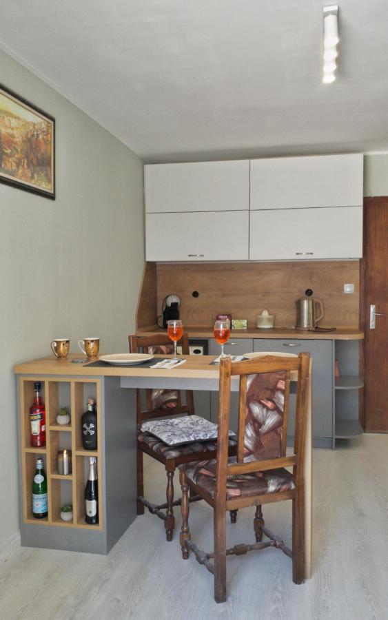 Cozy Studio Near The Park With Huge Verandah. 大特尔诺沃 外观 照片